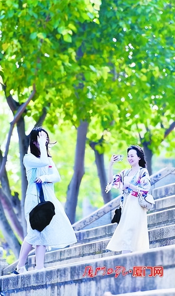 厦门高温_厦门天气_厦门天气预报