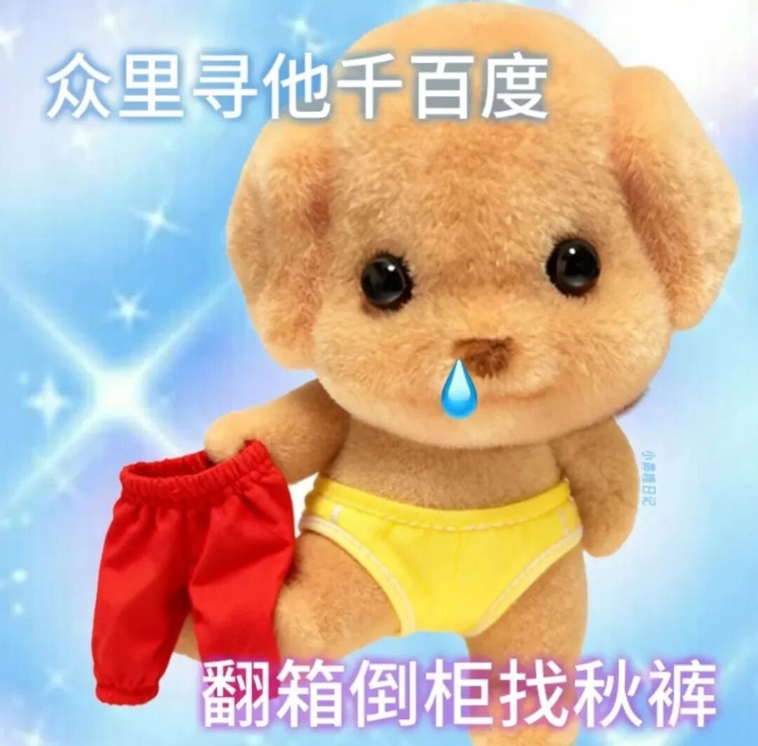 本区未来十天天气预报_冷空气影响下明天气温一路下探_闵行天气预报