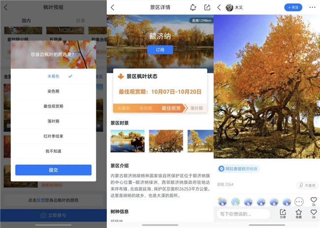 全国赏枫地图_墨迹天气枫叶预报_墨迹天气