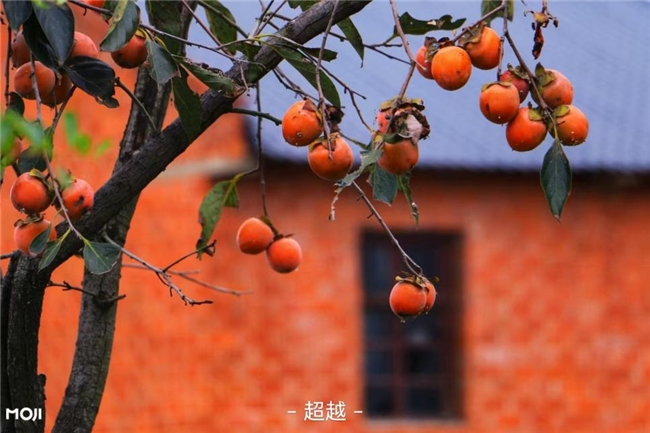 节后犯困不是你的错！墨迹天气帮你赶走“秋乏”