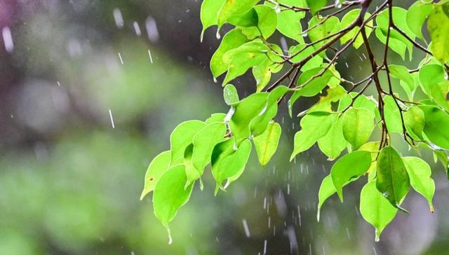 广东天气变化快_广州近期天气预报_广州天气预报