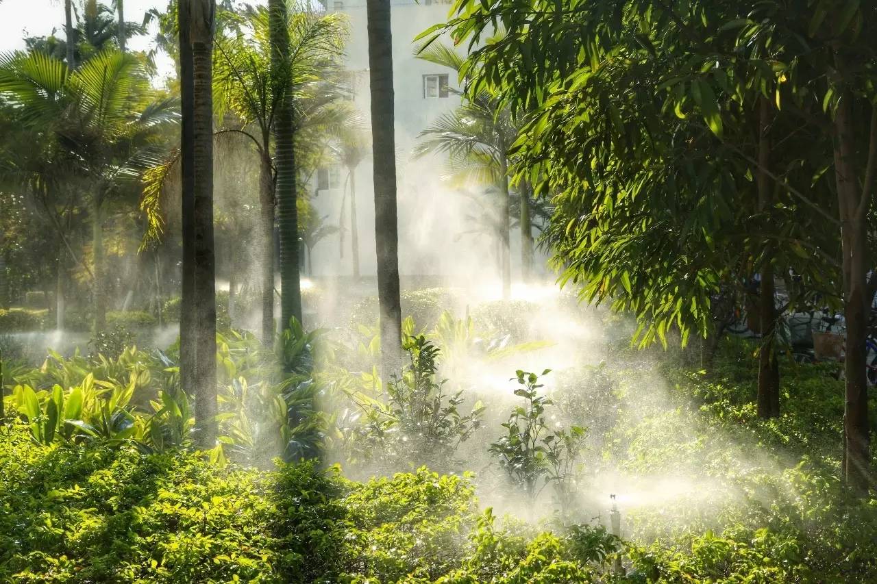 厦门天气预报_厦门回南天 晴天惊喜 厦门春天