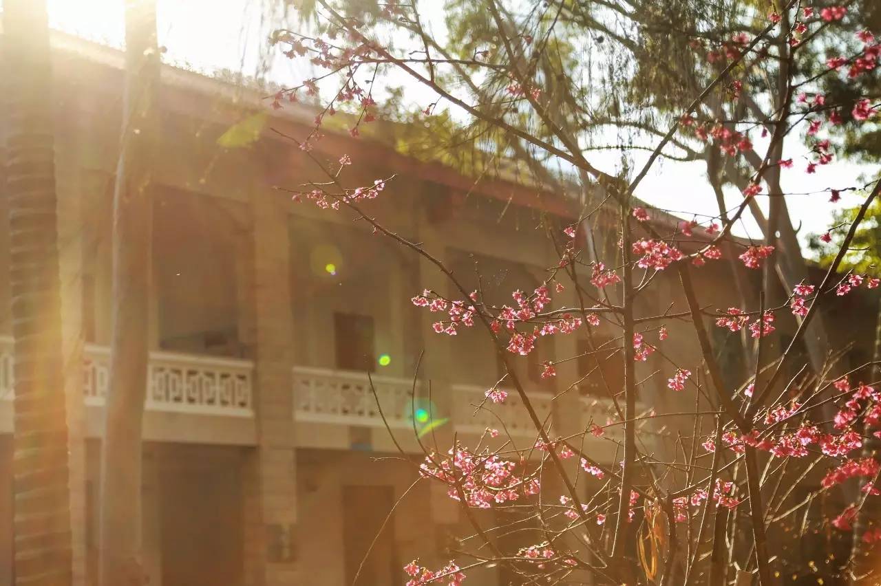 厦门天气预报_厦门回南天 晴天惊喜 厦门春天
