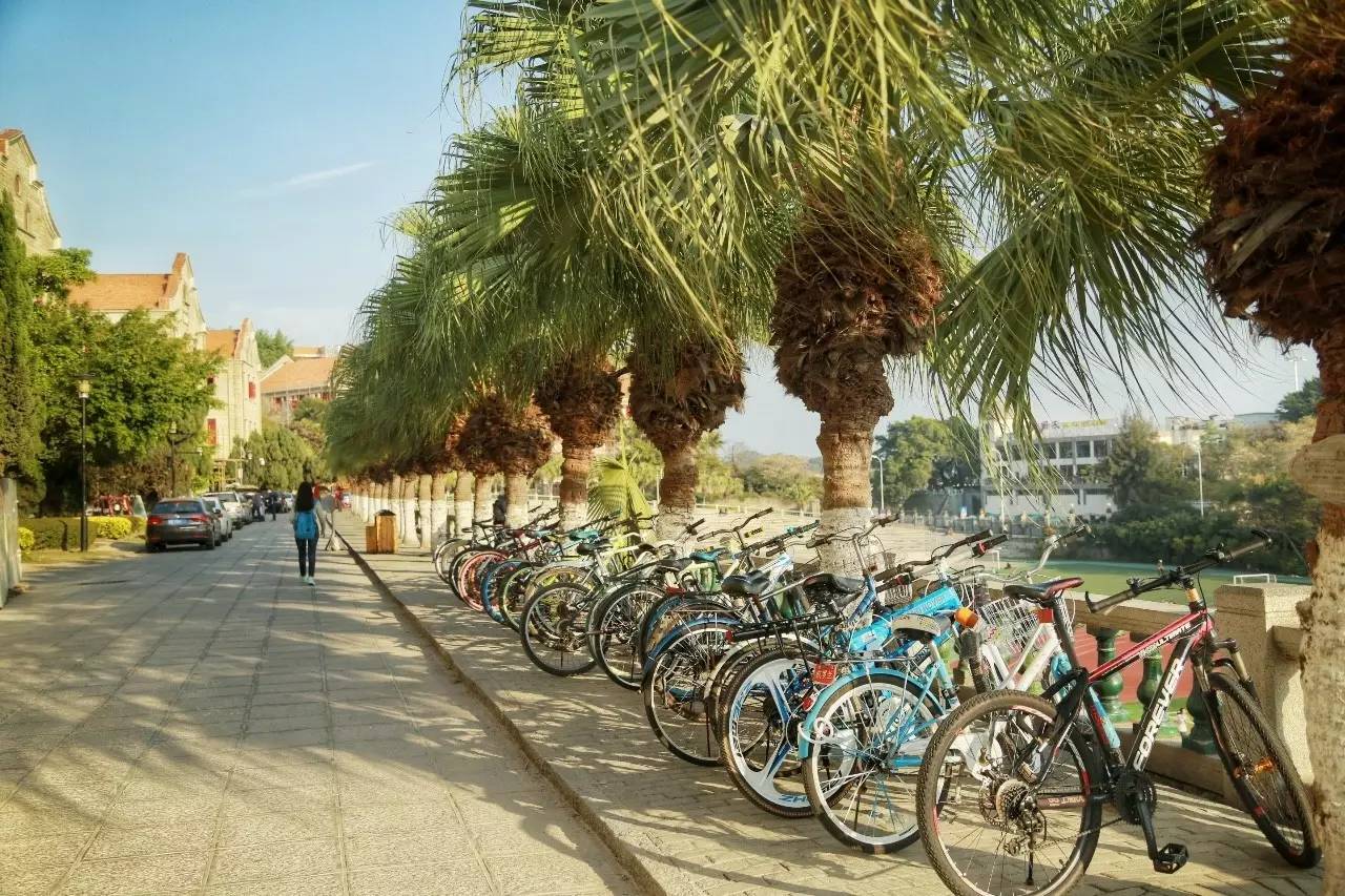 厦门天气预报_厦门回南天 晴天惊喜 厦门春天