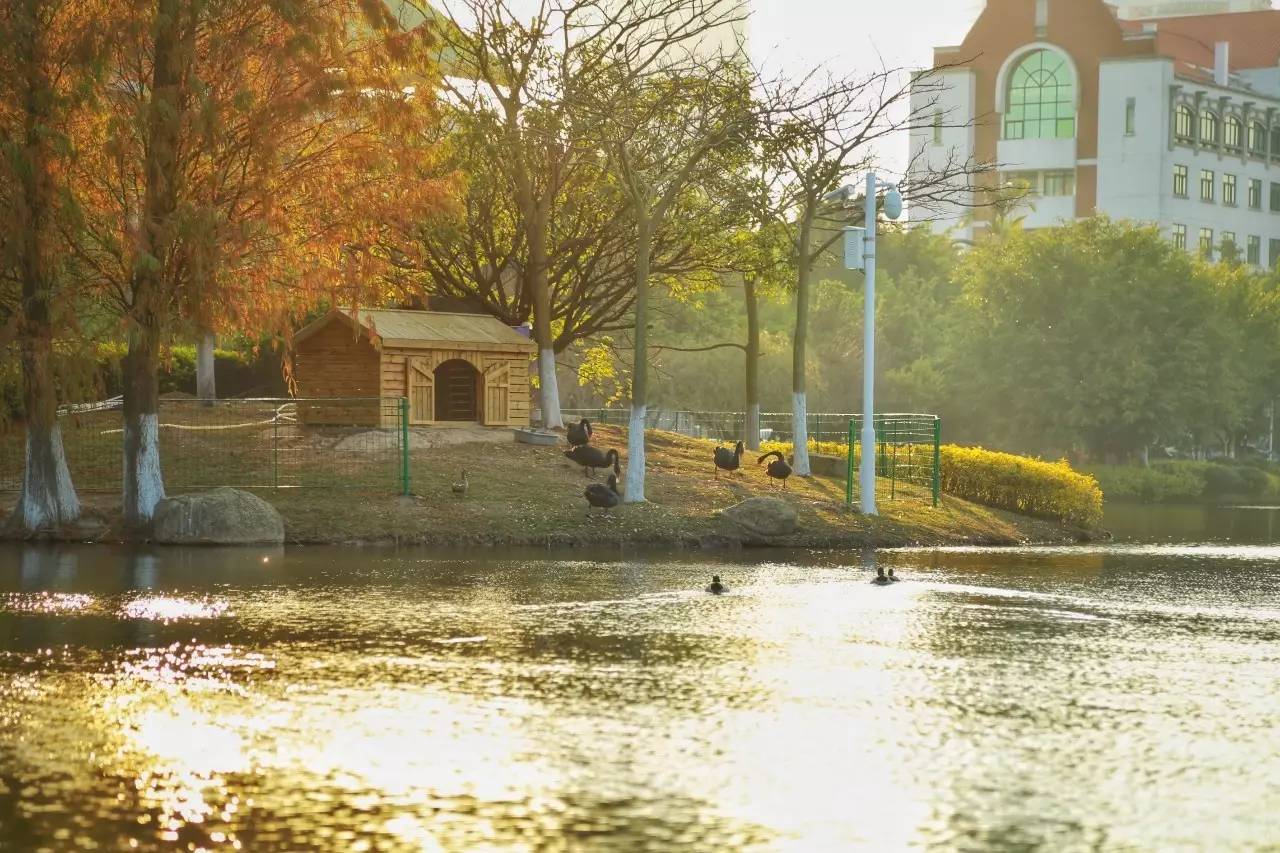 厦门天气预报_厦门回南天 晴天惊喜 厦门春天