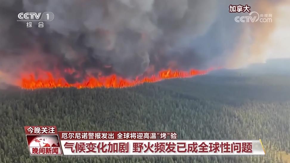 厄尔尼诺现象 全球气温升高 野火频发_天气变化