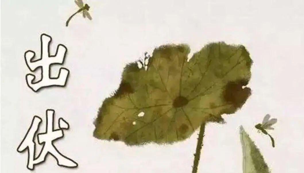 廊坊市出伏天气预报_廊坊市雨具随身指南_廊坊天气