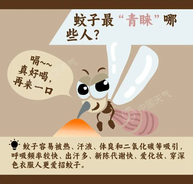 廊坊市出伏天气预报_廊坊天气_廊坊市雨具随身指南