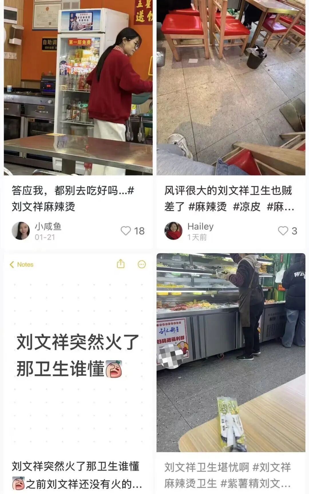 网红麻辣烫刘文祥被查,用鸭肉冒充牛肉猪肉,店员辩称:牛肉三四十一斤,我们才卖二十