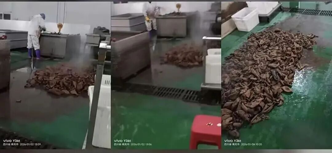 千万粉丝网红鹿哈或需赔偿26.9亿元，带货牛肚翻车