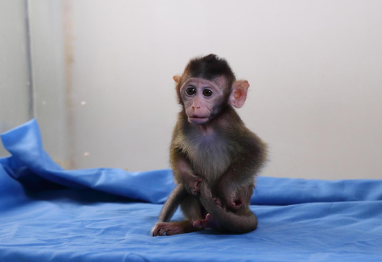 “猴茅”昭衍新药A+H双股暴跌，公司回应：“猴周期”下净利预增约3倍，实控人今年已套现5.7亿元